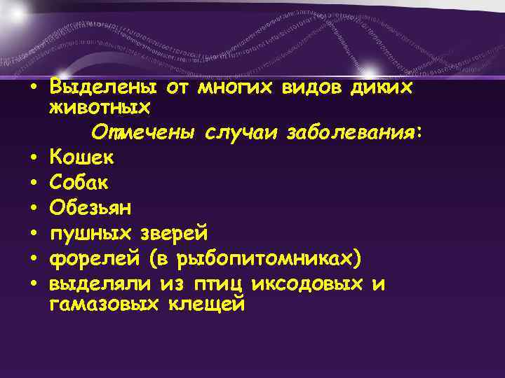  • Выделены от многих видов диких животных Отмечены случаи заболевания: • Кошек •