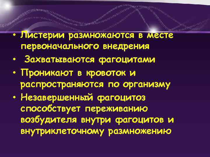  • Листерии размножаются в месте первоначального внедрения • Захватываются фагоцитами • Проникают в