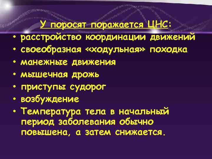  • • У поросят поражается ЦНС: расстройство координации движений своеобразная «ходульная» походка манежные