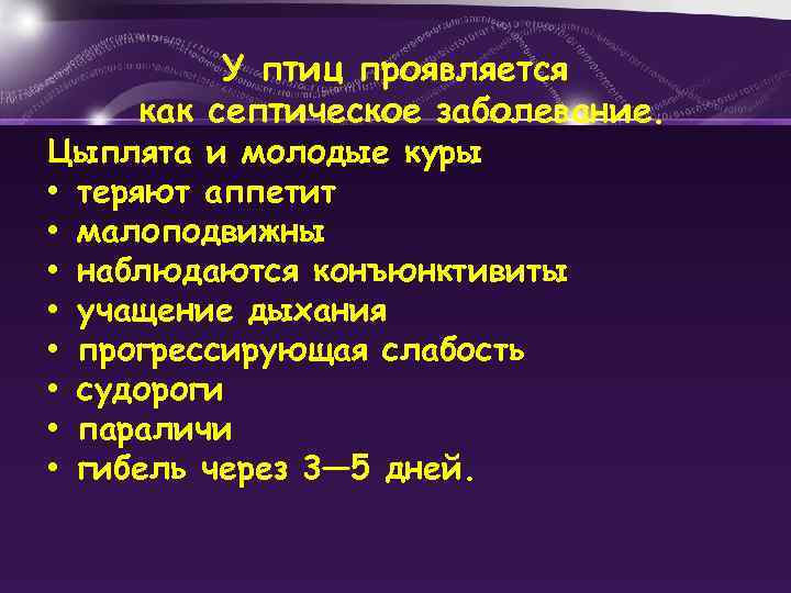 У птиц проявляется как септическое заболевание. Цыплята и молодые куры • теряют аппетит •