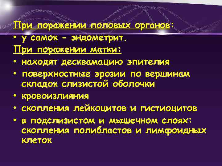 При поражении половых органов: • у самок - эндометрит. При поражении матки: • находят