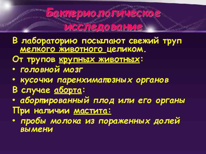 Бактериологическое исследование В лабораторию посылают свежий труп мелкого животного целиком. От трупов крупных животных: