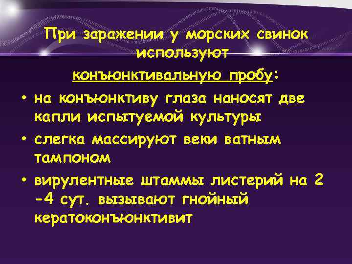 При заражении у морских свинок используют конъюнктивальную пробу: • на конъюнктиву глаза наносят две