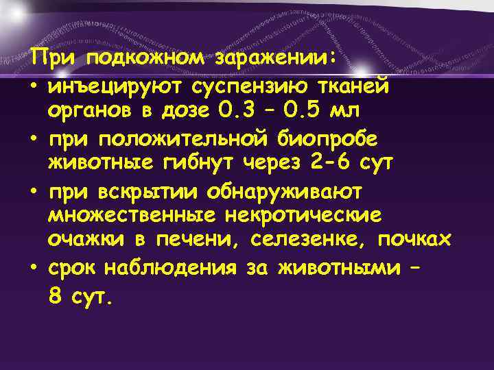 При подкожном заражении: • инъецируют суспензию тканей органов в дозе 0. 3 – 0.