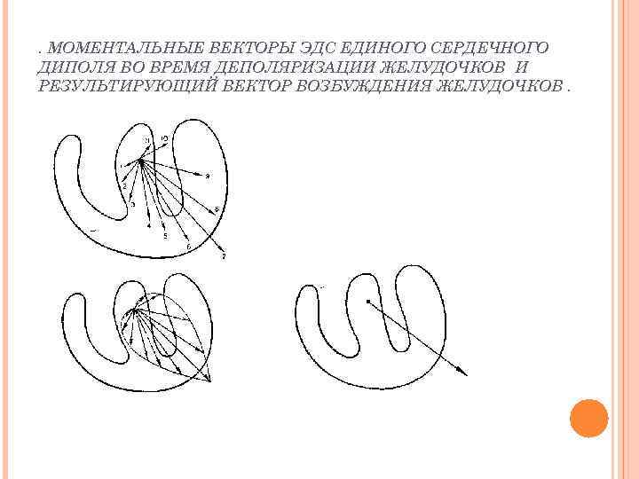 . МОМЕНТАЛЬНЫЕ ВЕКТОРЫ ЭДС ЕДИНОГО СЕРДЕЧНОГО ДИПОЛЯ ВО ВРЕМЯ ДЕПОЛЯРИЗАЦИИ ЖЕЛУДОЧКОВ И РЕЗУЛЬТИРУЮЩИЙ ВЕКТОР