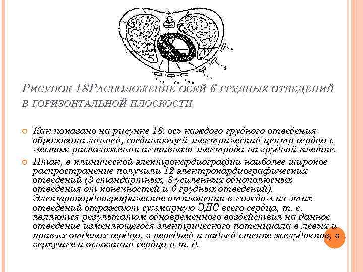 РИСУНОК 18. АСПОЛОЖЕНИЕ ОСЕЙ 6 ГРУДНЫХ ОТВЕДЕНИЙ Р В ГОРИЗОНТАЛЬНОЙ ПЛОСКОСТИ Как показано на