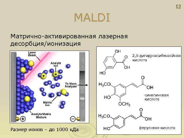 12 MALDI Матрично-активированная лазерная десорбция/ионизация 2, 5 -дигидроксибензойная кислота синапиновая кислота Размер ионов –