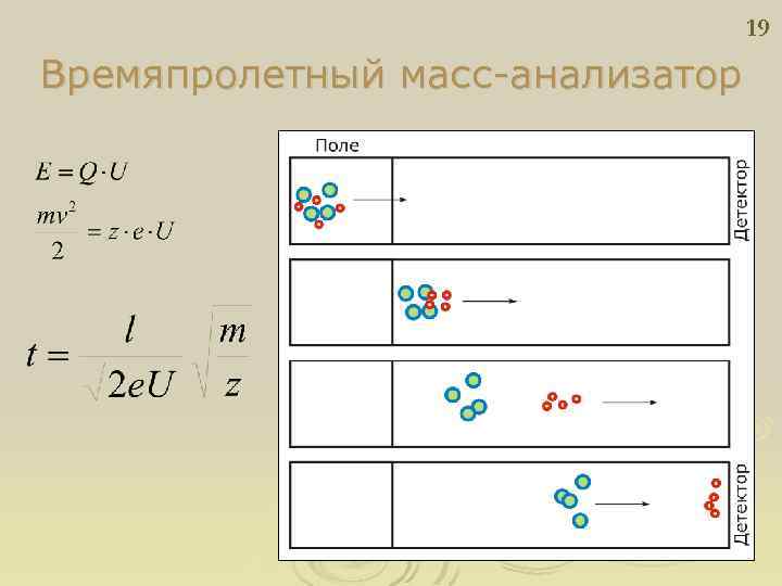 19 Времяпролетный масс-анализатор 