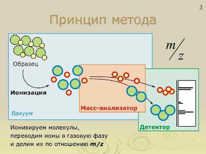 2 Принцип метода Ионизируем молекулы, переводим ионы в газовую фазу и делим их по