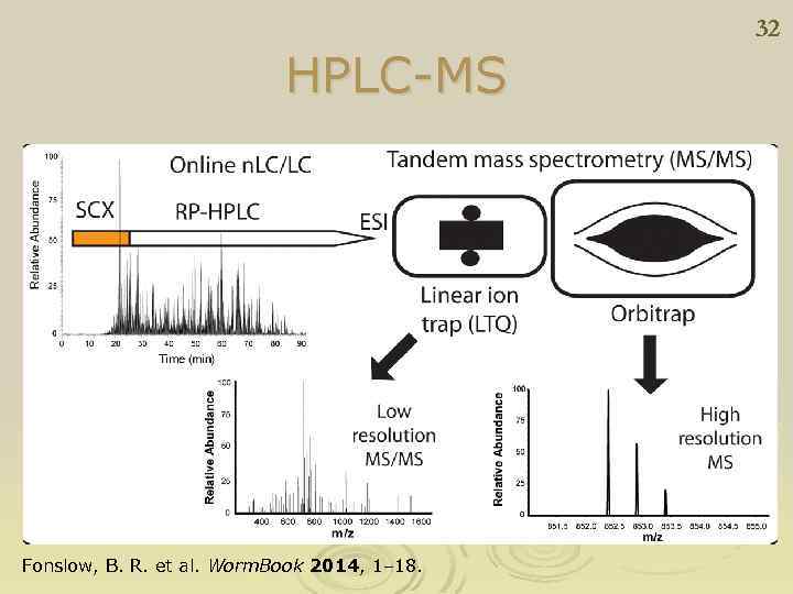 32 HPLC-MS Fonslow, B. R. et al. Worm. Book 2014, 1– 18. 