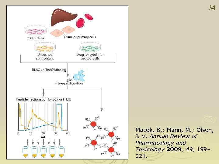 34 Macek, B. ; Mann, M. ; Olsen, J. V. Annual Review of Pharmacology