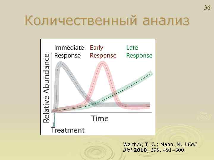 36 Количественный анализ Walther, T. C. ; Mann, M. J Cell Biol 2010, 190,