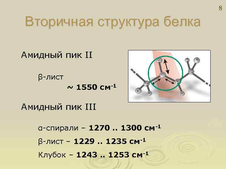 8 Вторичная структура белка Амидный пик II β-лист ~ 1550 см-1 Амидный пик III