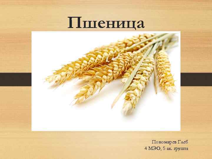 Пшеница Пономарев Глеб 4 МЭО, 5 ак. группа 