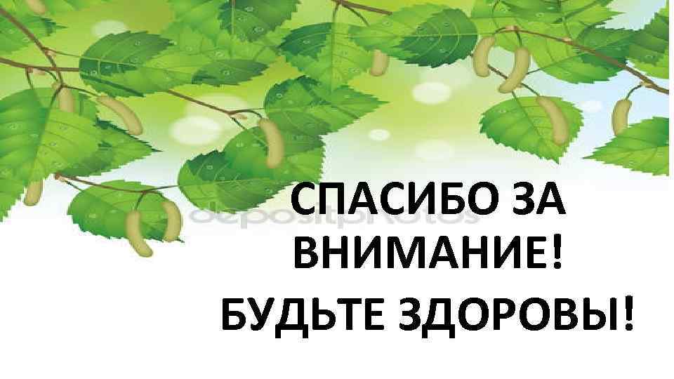 СПАСИБО ЗА ВНИМАНИЕ! БУДЬТЕ ЗДОРОВЫ! 