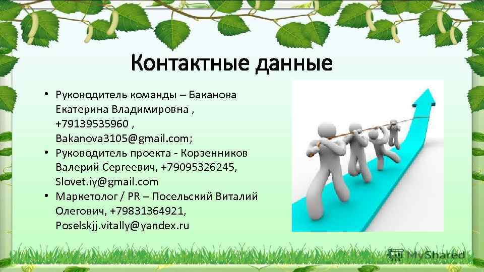 Данные руководителя проекта