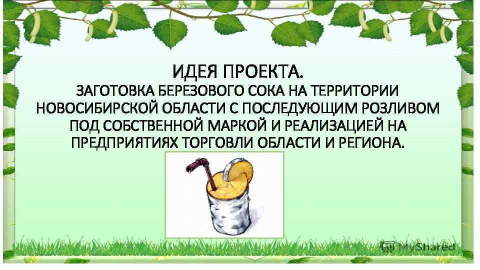 ИДЕЯ ПРОЕКТА. ЗАГОТОВКА БЕРЕЗОВОГО СОКА НА ТЕРРИТОРИИ НОВОСИБИРСКОЙ ОБЛАСТИ С ПОСЛЕДУЮЩИМ РОЗЛИВОМ ПОД СОБСТВЕННОЙ