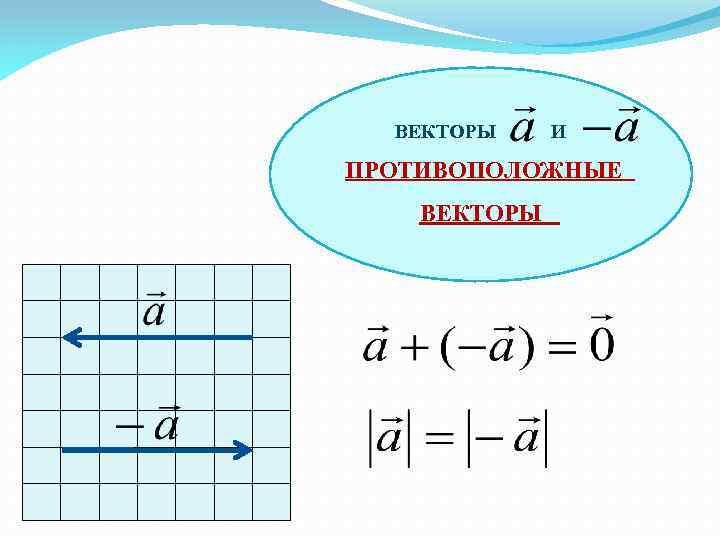 ВЕКТОРЫ И ПРОТИВОПОЛОЖНЫЕ ВЕКТОРЫ 