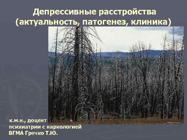 Депрессивные расстройства (актуальность, патогенез, клиника) к. м. н. , доцент кафедры психиатрии с наркологией