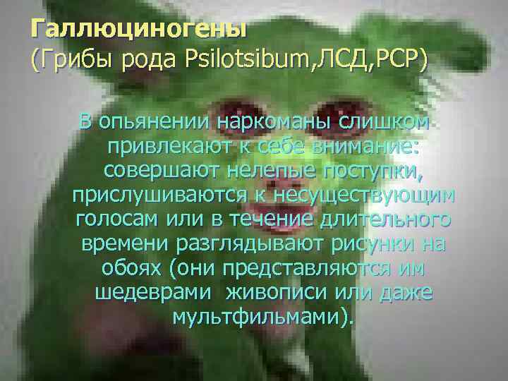 Галлюциногены (Грибы рода Psilotsibum, ЛСД, РСР) В опьянении наркоманы слишком привлекают к себе внимание: