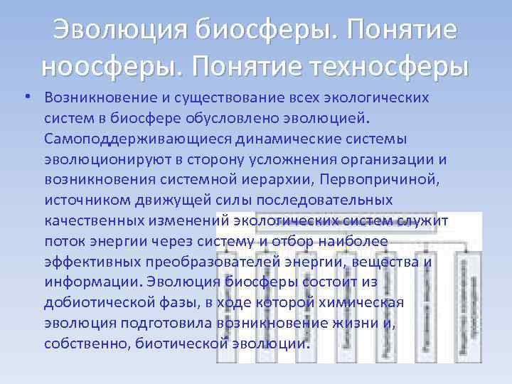 Эволюция биосферы. Понятие ноосферы. Понятие техносферы • Возникновение и существование всех экологических систем в