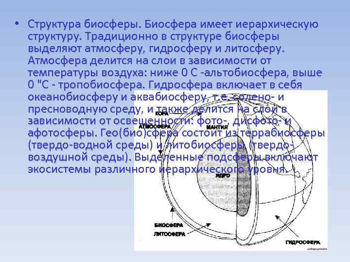  • Структура биосферы. Биосфера имеет иерархическую структуру. Традиционно в структуре биосферы выделяют атмосферу,