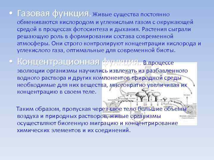  • Газовая функция. Живые существа постоянно обмениваются кислородом и углекислым газом с окружающей