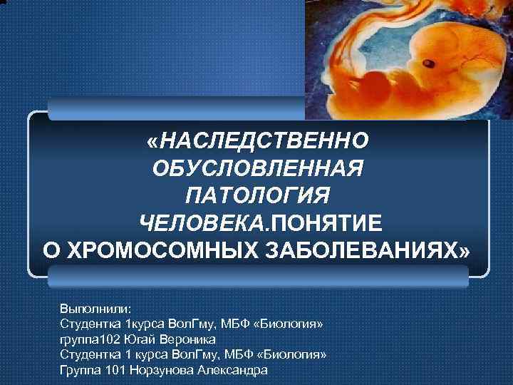  «НАСЛЕДСТВЕННО ОБУСЛОВЛЕННАЯ ПАТОЛОГИЯ ЧЕЛОВЕКА. ПОНЯТИЕ О ХРОМОСОМНЫХ ЗАБОЛЕВАНИЯХ» Выполнили: Студентка 1 курса Вол.