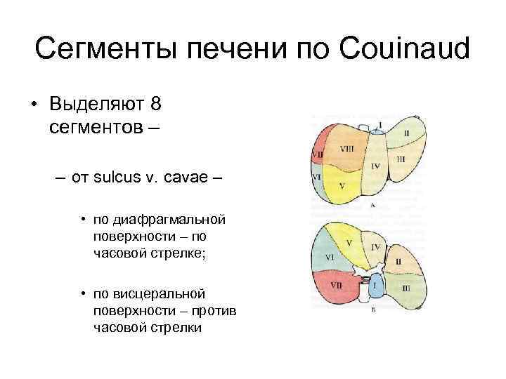 Сегменты печени по Couinaud • Выделяют 8 сегментов – – от sulcus v. cavae