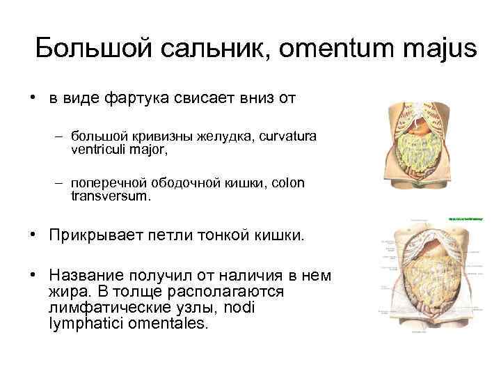 Удалили большой сальник последствия