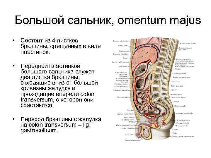 Из чего состоит сальник