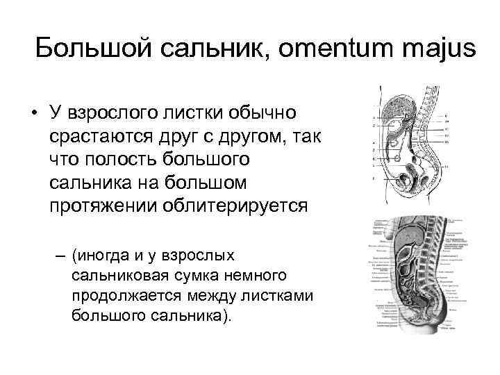 Удалили большой сальник последствия