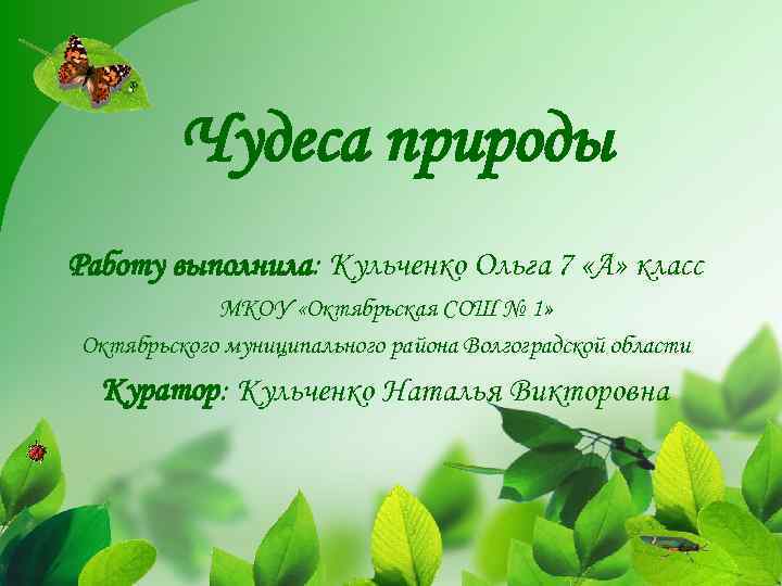 Чудеса природы Работу выполнила: Кульченко Ольга 7 «А» класс МКОУ «Октябрьская СОШ № 1»