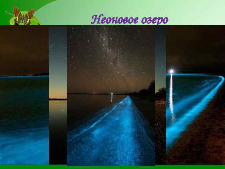 Неоновое озеро Удивительное природное явление на одном из Гипслендских озёр Австралии. Это озеро, в