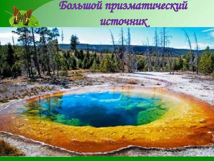 Большой призматический источник Находится в Йеллоустонском национальном парке в Среднем бассейне гейзеров. Яркие цвета