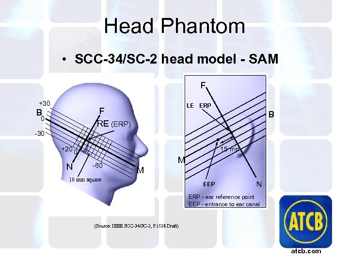 Head Phantom • SCC-34/SC-2 head model - SAM F +30 LE ERP F RE