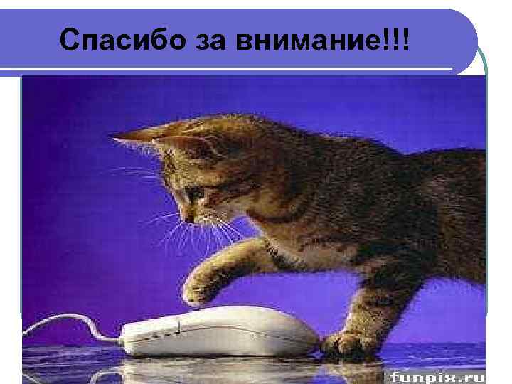 Спасибо за внимание!!! 