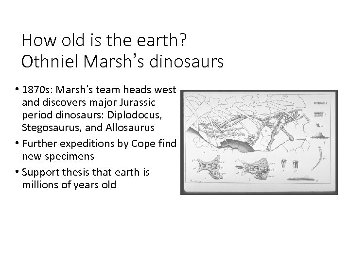 How old is the earth? Othniel Marsh’s dinosaurs • 1870 s: Marsh’s team heads