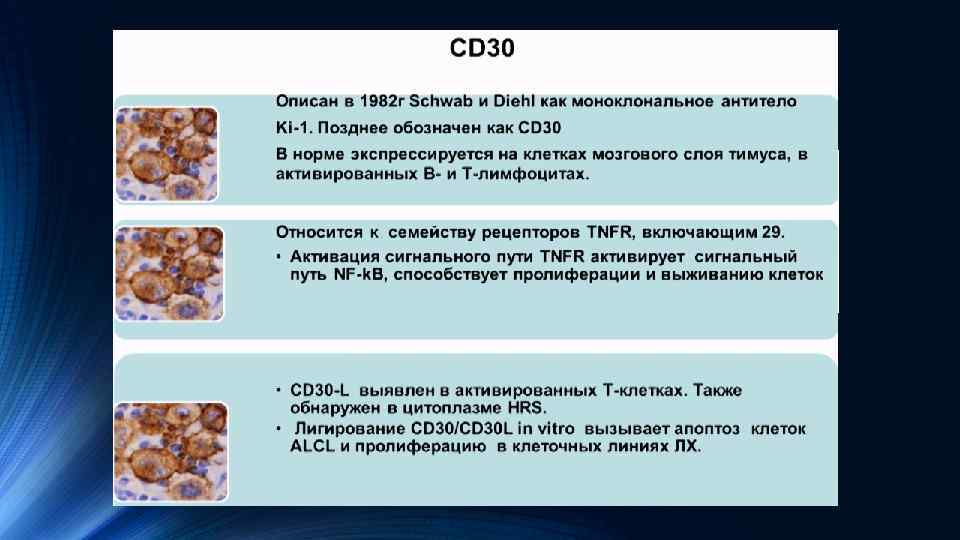 Макет двух типов объектов с таблицей • Первый пункт списка Группа 1 Группа 2