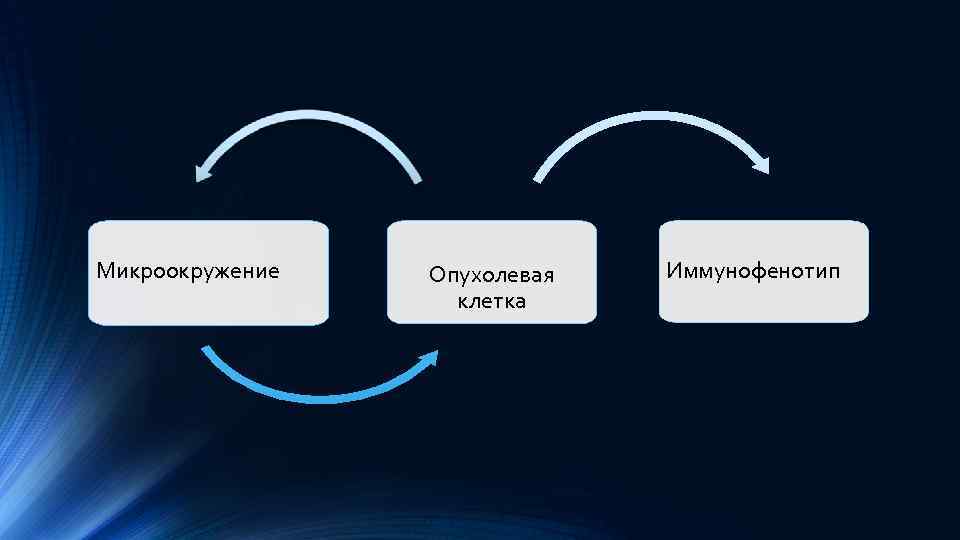 Микроокружение Опухолевая клетка Иммунофенотип 