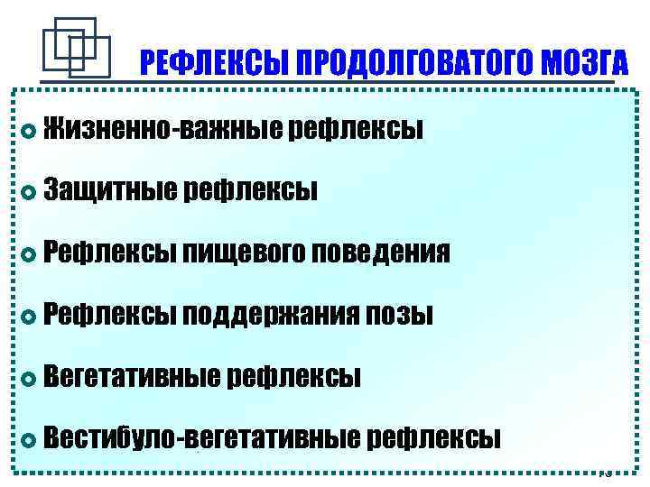 РЕФЛЕКСЫ ПРОДОЛГОВАТОГО МОЗГА Жизненно-важные рефлексы Защитные рефлексы Рефлексы пищевого поведения Рефлексы поддержания позы Вегетативные
