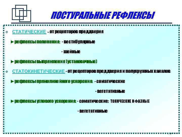 ПОСТУРАЛЬНЫЕ РЕФЛЕКСЫ СТАТИЧЕСКИЕ - от рецепторов преддверия ►рефлексы положения: - вестибулярные - шейные ►рефлексы