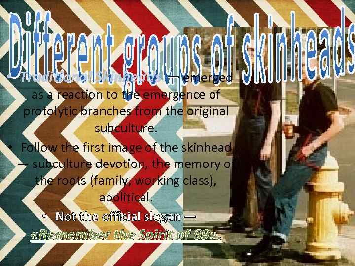  • Traditional Skinheads — emerged as a reaction to the emergence of protolytic