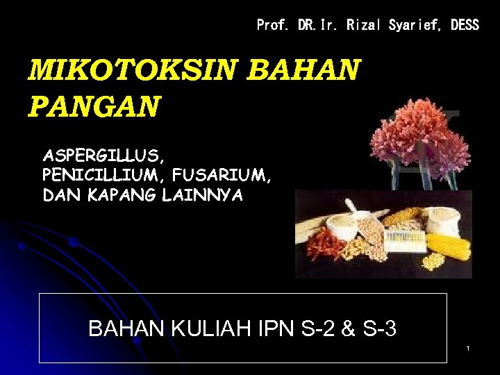 Prof. DR. Ir. Rizal Syarief, DESS MIKOTOKSIN BAHAN PANGAN ASPERGILLUS, PENICILLIUM, FUSARIUM, DAN KAPANG