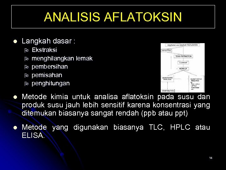 ANALISIS AFLATOKSIN l Langkah dasar : O O O Ekstraksi menghilangkan lemak pembersihan pemisahan