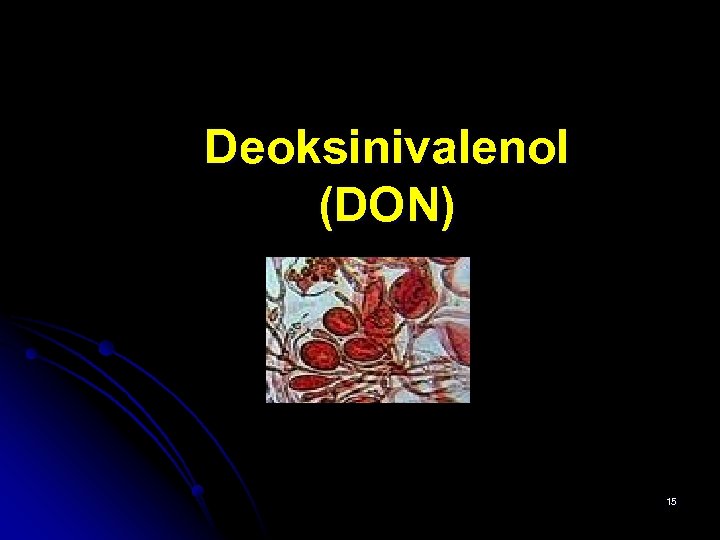 Deoksinivalenol (DON) 15 