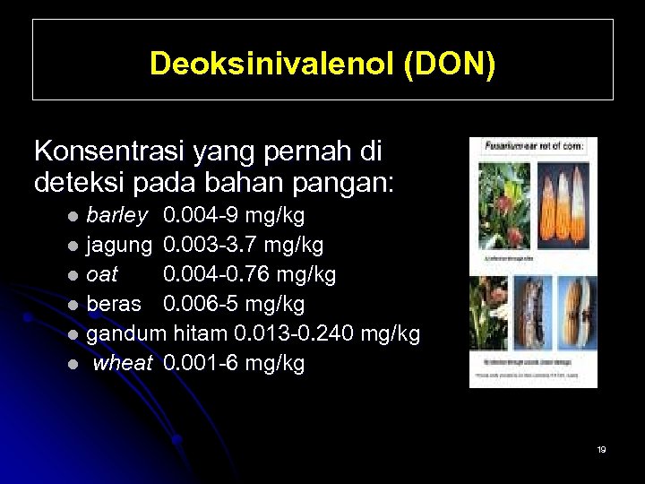 Deoksinivalenol (DON) Konsentrasi yang pernah di deteksi pada bahan pangan: barley 0. 004 -9