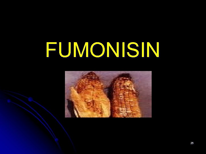 FUMONISIN 26 