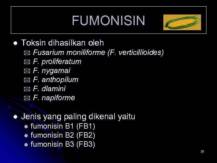 FUMONISIN l Toksin dihasilkan oleh Fusarium moniliforme (F. verticillioides) * F. proliferatum * F.