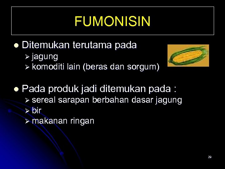 FUMONISIN l Ditemukan terutama pada Ø jagung Ø komoditi lain (beras dan sorgum) l